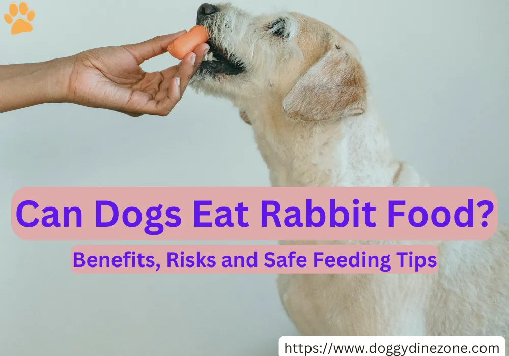 can dogs eat rabbit food?