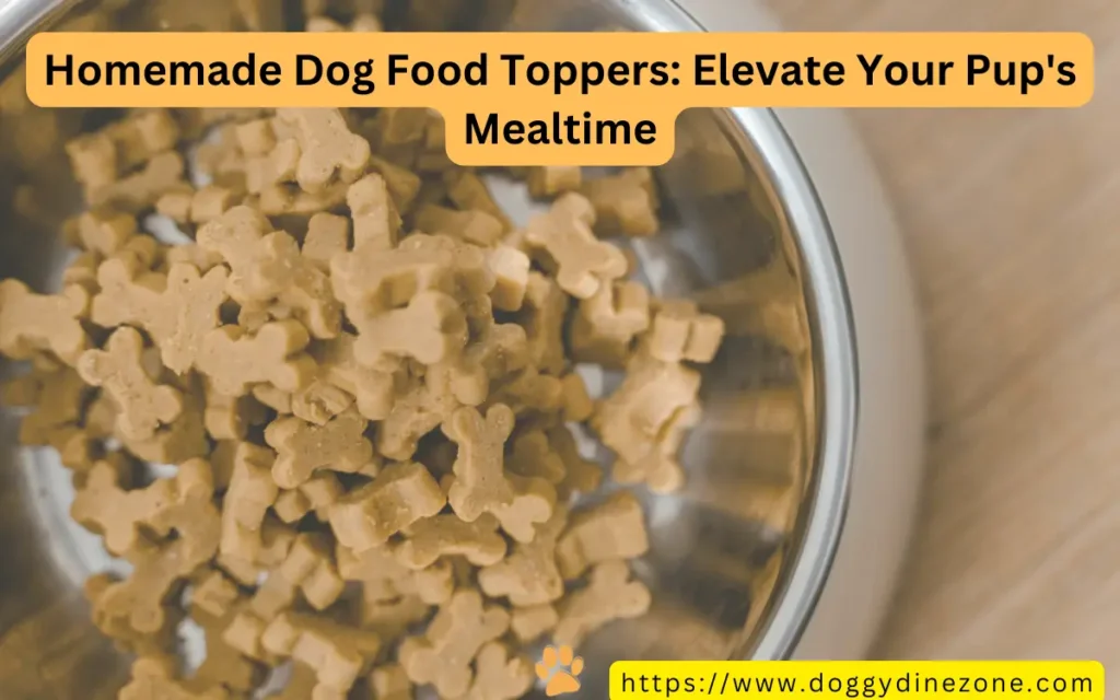 Homemade Dog Food Toppers