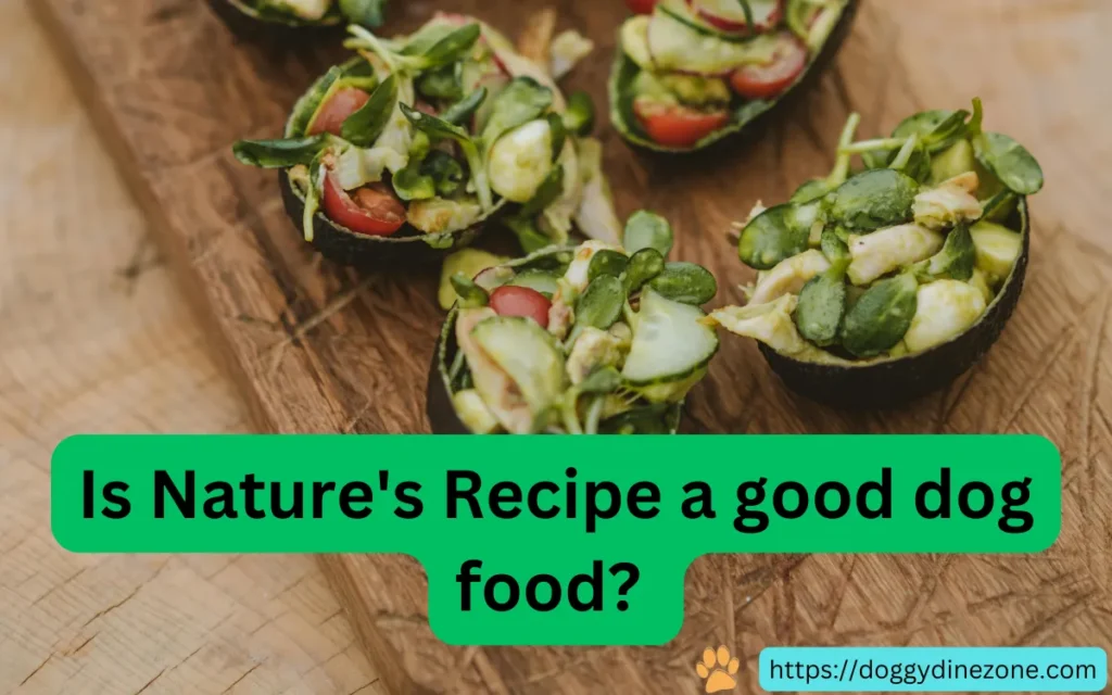 Is Nature's Recipe a good dog food