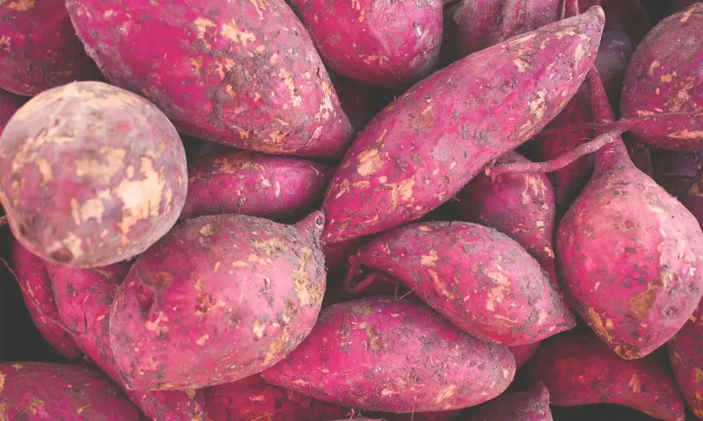 Why Sweet Potatoes Are Great for Your Dog Why Sweet Potatoes Are Great for Your Dog