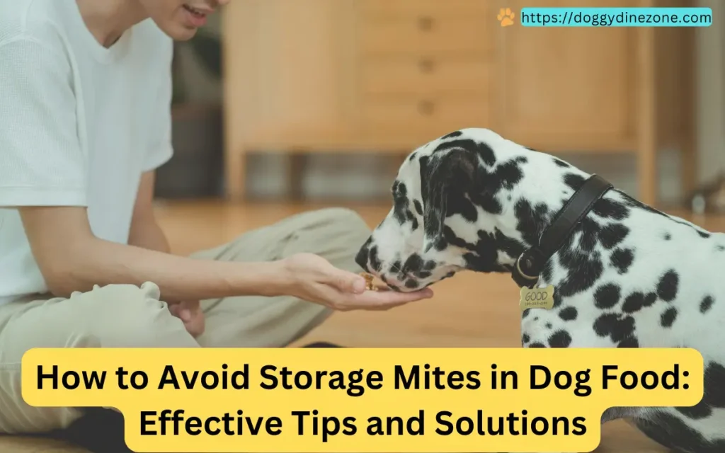 A Dalmatian eating food from a person's hand, illustrating tips on how to avoid storage mites in dog food.