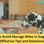 A Dalmatian eating food from a person's hand, illustrating tips on how to avoid storage mites in dog food.