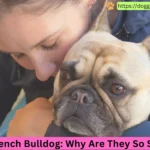 A woman hugging a lilac French Bulldog with a loving expression