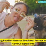 A German Shepherd dog trying to eat food while a person playfully holds sushi in front of their face, with the text 'The Worst Dog Food for German Shepherd: Protect Your Pup from Harmful Ingredients' at the bottom