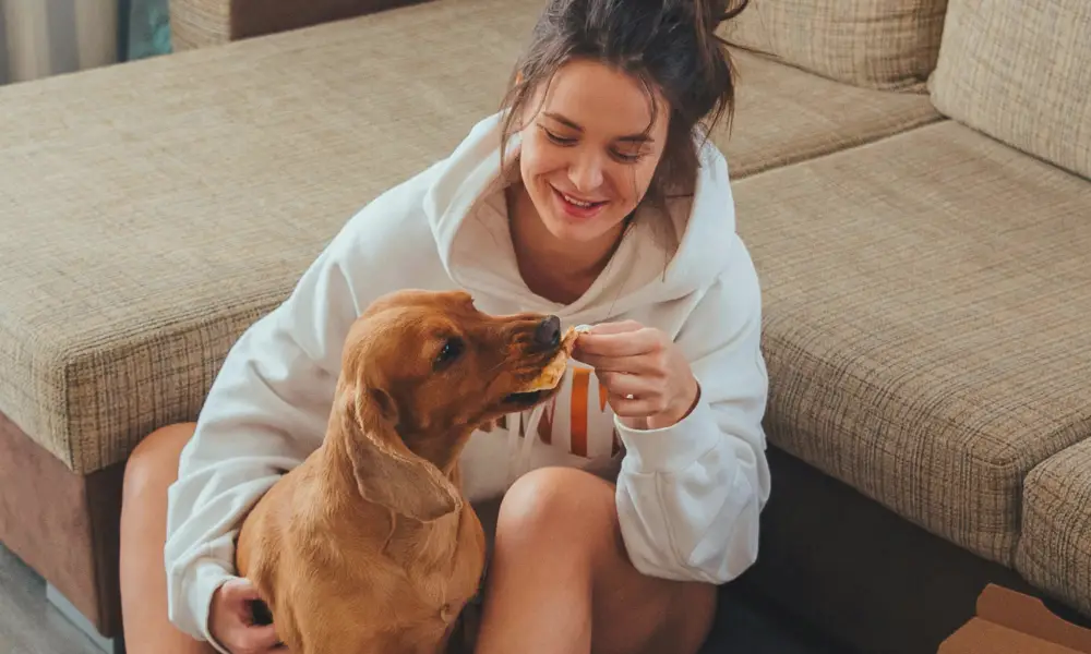 A woman sitting on the floor, smiling as she feeds her dog a treat, symbolizing care and attention to maintaining the quality of dog food.