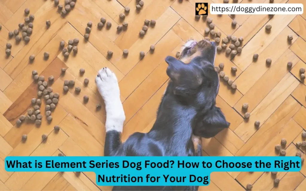 A black and brown dog eating kibble scattered on a wooden floor.