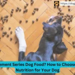 A black and brown dog eating kibble scattered on a wooden floor.