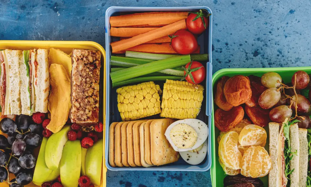 A variety of fresh vegetables, fruits, and snacks in lunchboxes, including cherry tomatoes, carrots, celery, and corn,It represents key ingredients found in tomato pomace in dog food