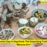 A wooden table with natural snacks and dips, with a decorative branch centerpiece. The text highlights Montmorillonite Clay in Dog Food as a surprising ingredient