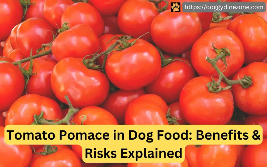 Fresh red tomatoes on a wooden surface, represents tomato pomace in dog food