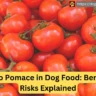 Fresh red tomatoes on a wooden surface, represents tomato pomace in dog food